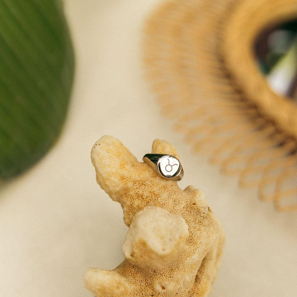 Zodiac Sign Ring - Customcuff